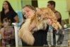 Международная выставка кошек "ЙОШКИН КОТ-V"
